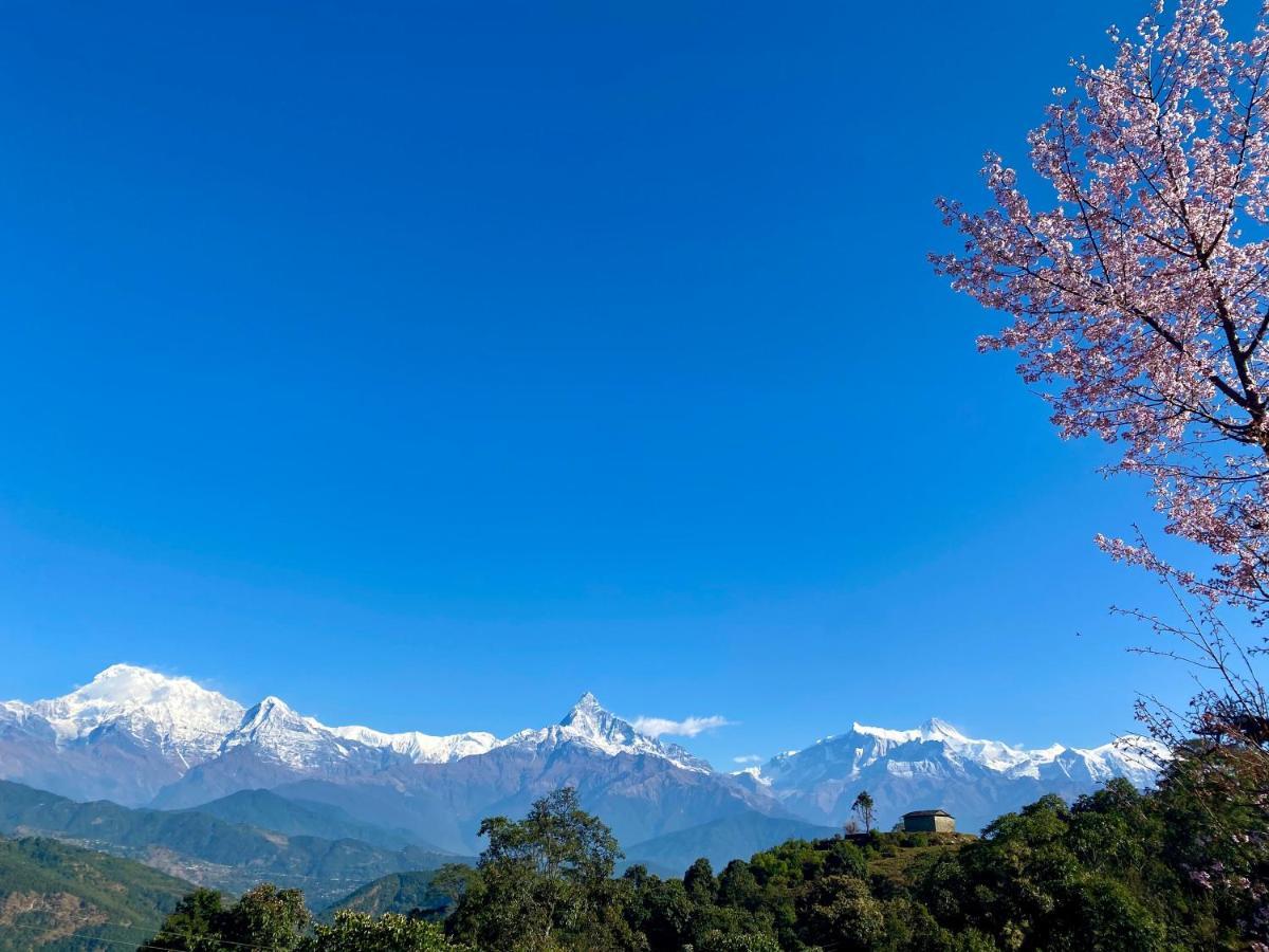 פוקהרה Superview Lodge, Best Himalayan Sunrise In Sarangkot מראה חיצוני תמונה